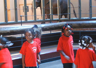 Children at zoo